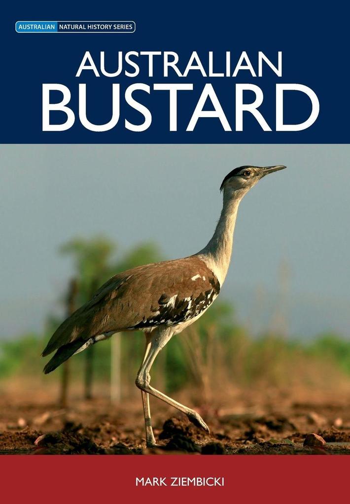 Australian Bustard
