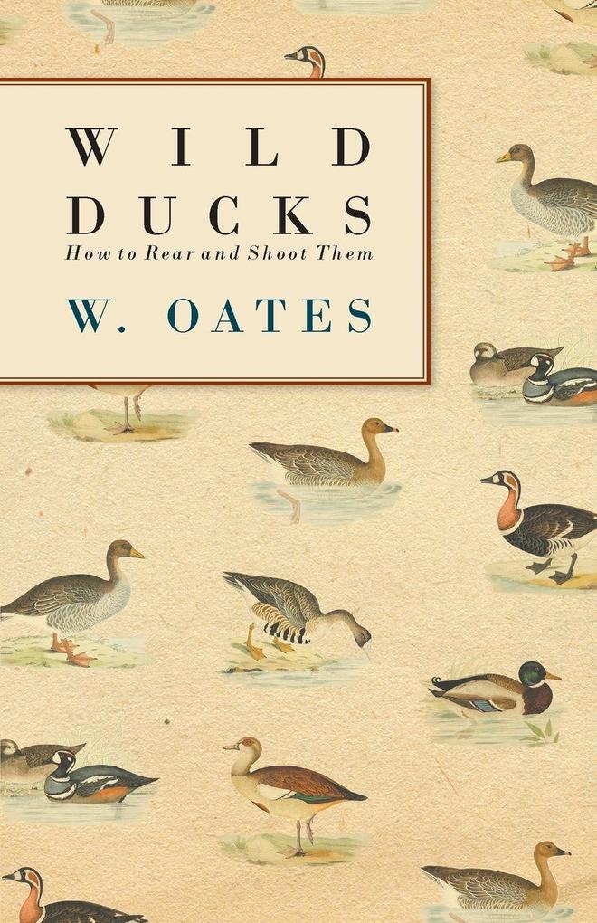 Wild Ducks - How to Rear and Shoot Them