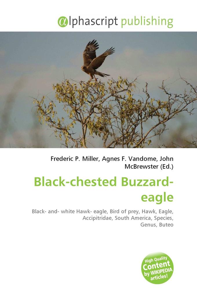Black-chested Buzzard-eagle