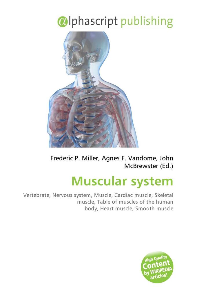 Muscular system