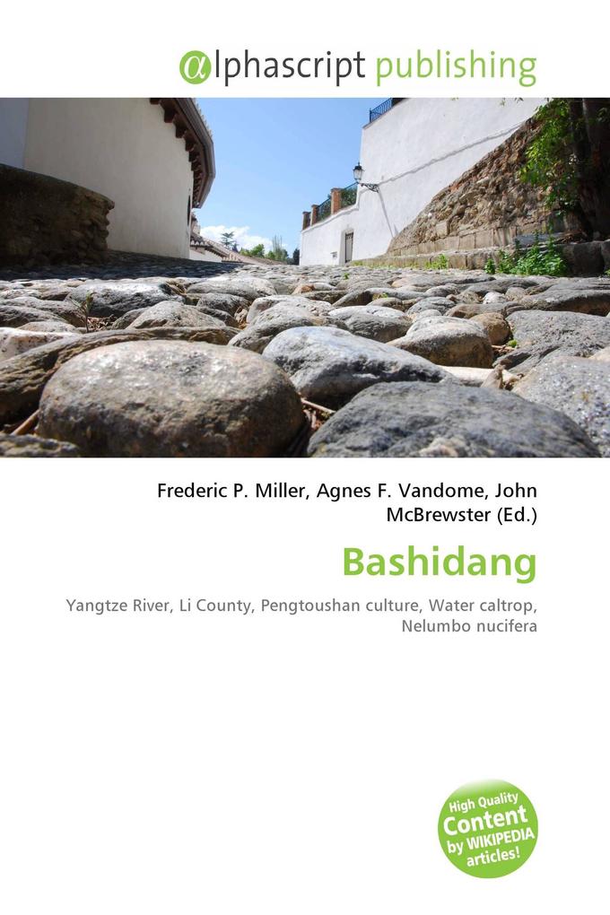 Bashidang