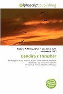 Bendire's Thrasher