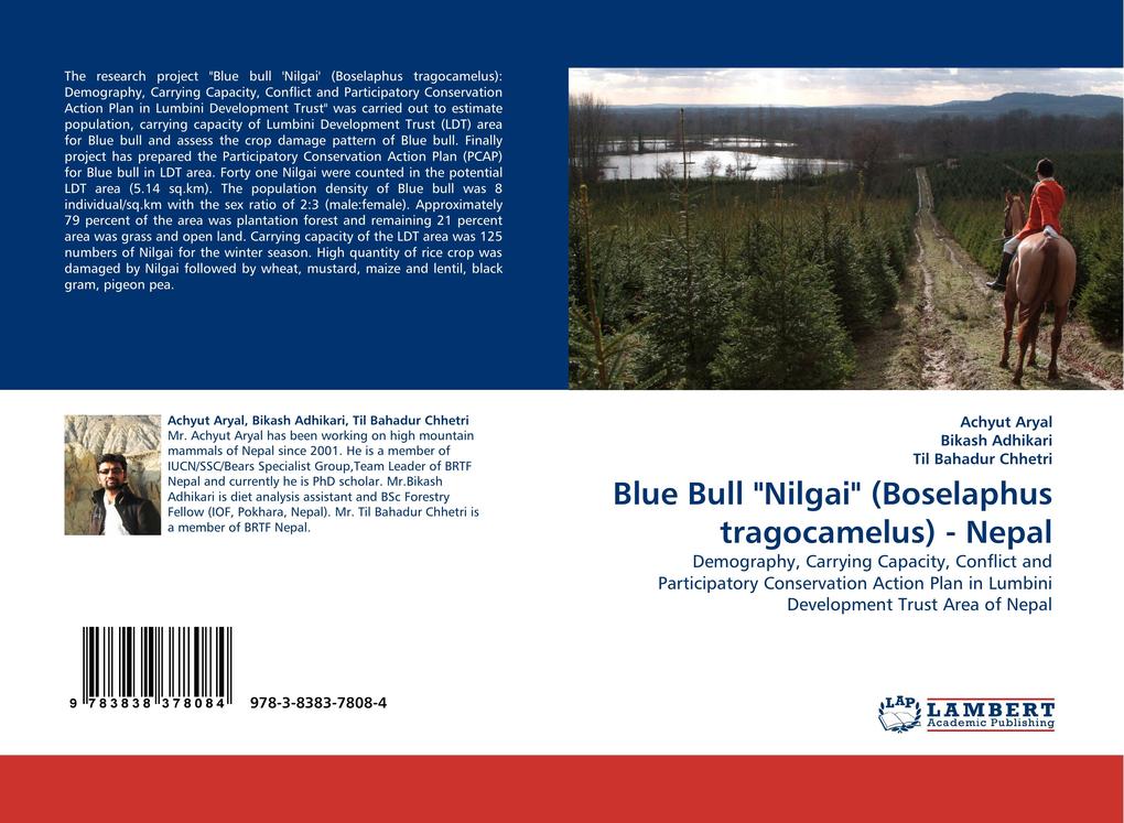 Blue Bull 'Nilgai' (Boselaphus tragocamelus) - Nepal