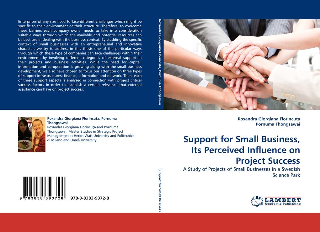 Support for Small Business Its Perceived Influence on Project Success