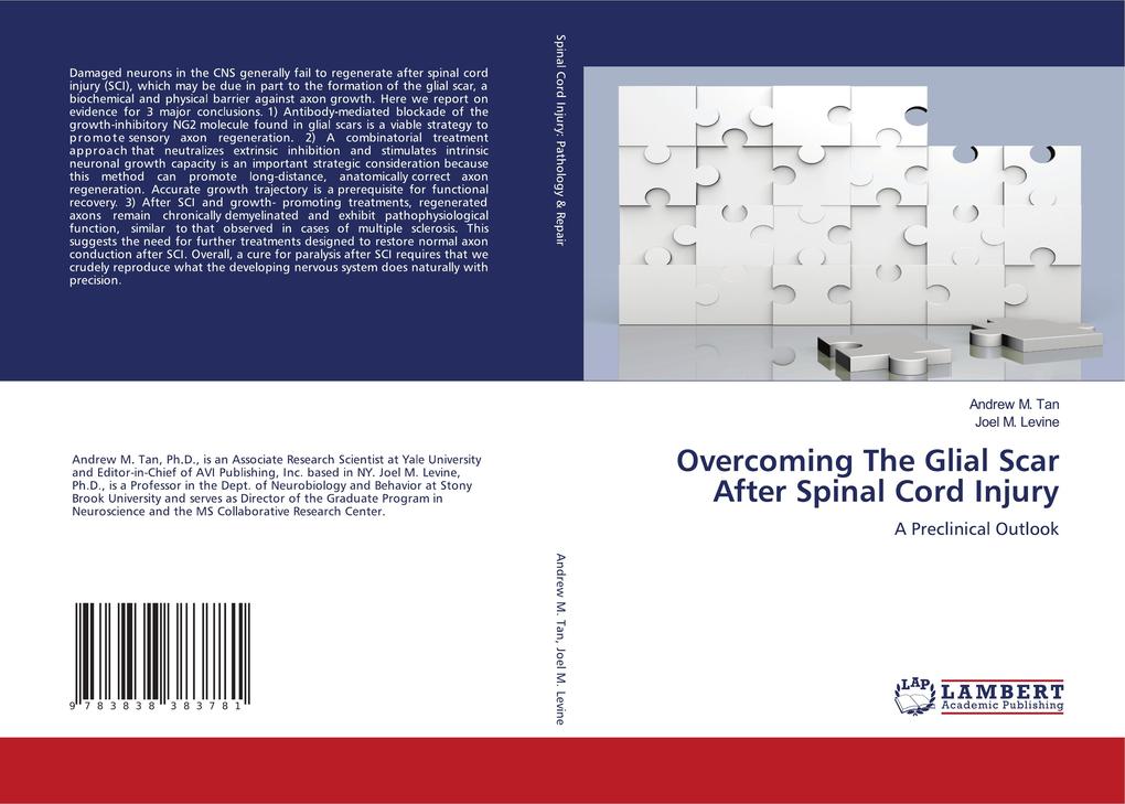 Overcoming The Glial Scar After Spinal Cord Injury