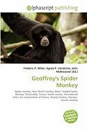 Geoffroy's Spider Monkey