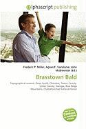 Brasstown Bald