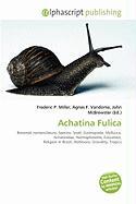 Achatina Fulica