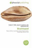 Brachiopod