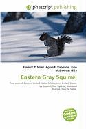 Eastern Gray Squirrel