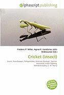 Cricket (insect)