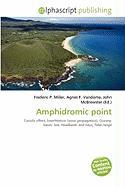 Amphidromic point