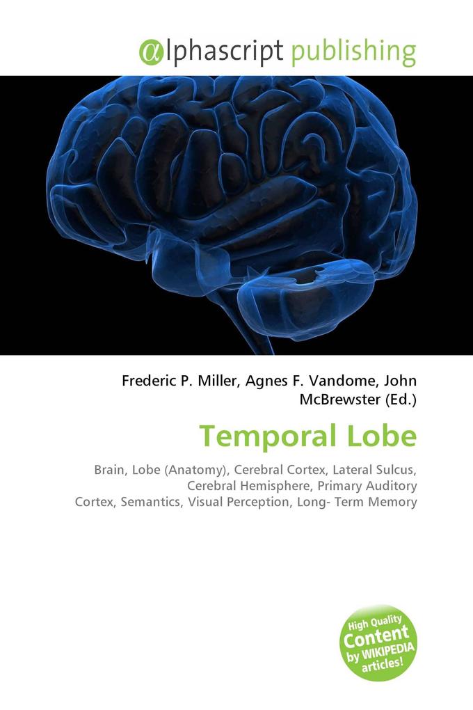 Temporal Lobe