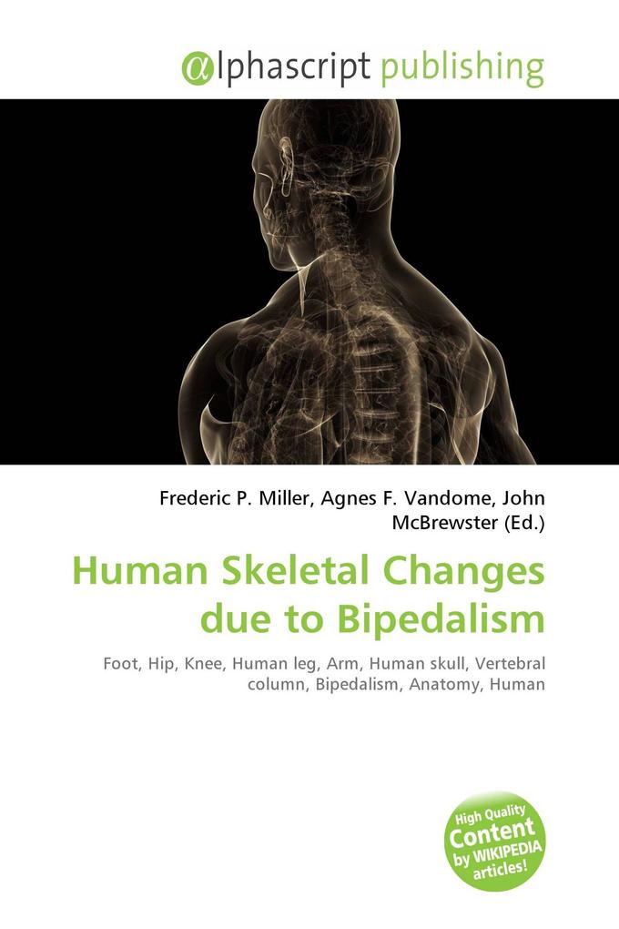 Human Skeletal Changes due to Bipedalism