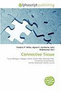 Connective Tissue