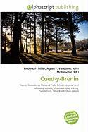 Coed-y-Brenin