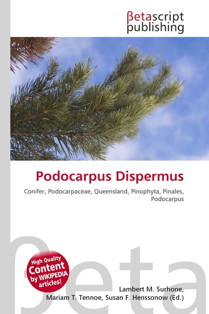 Podocarpus Dispermus