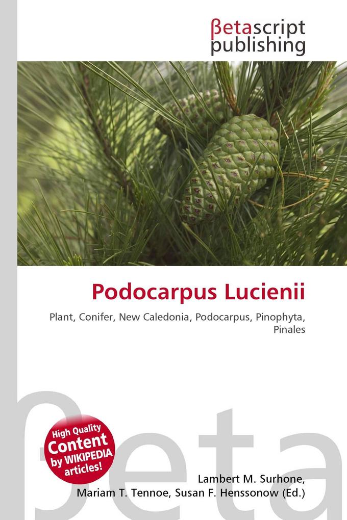 Podocarpus Lucienii