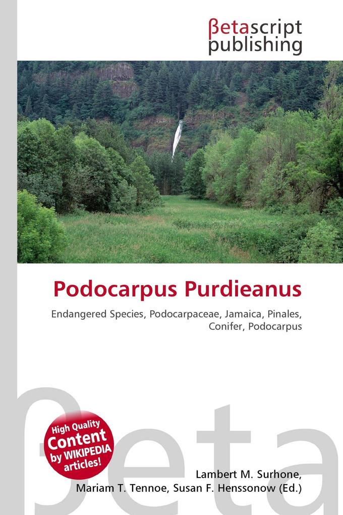 Podocarpus Purdieanus