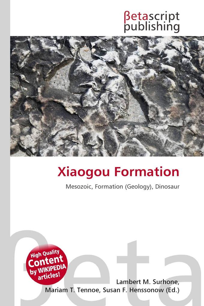 Xiaogou Formation