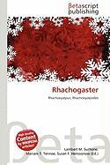 Rhachogaster