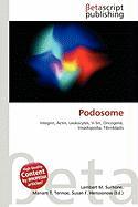 Podosome