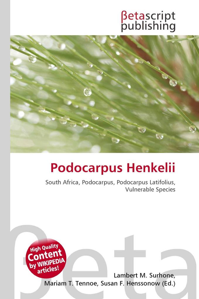 Podocarpus Henkelii
