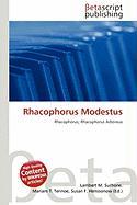 Rhacophorus Modestus