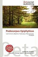 Podocarpus Epiphyticus
