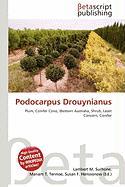 Podocarpus Drouynianus