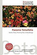Paeonia Tenuifolia