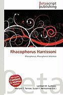 Rhacophorus Harrissoni