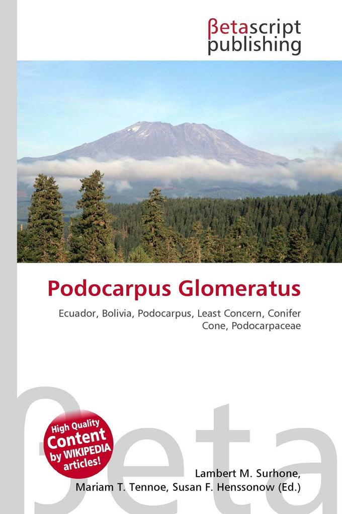 Podocarpus Glomeratus