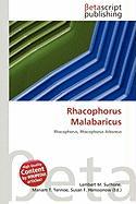 Rhacophorus Malabaricus
