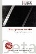 Rhacophorus Notater