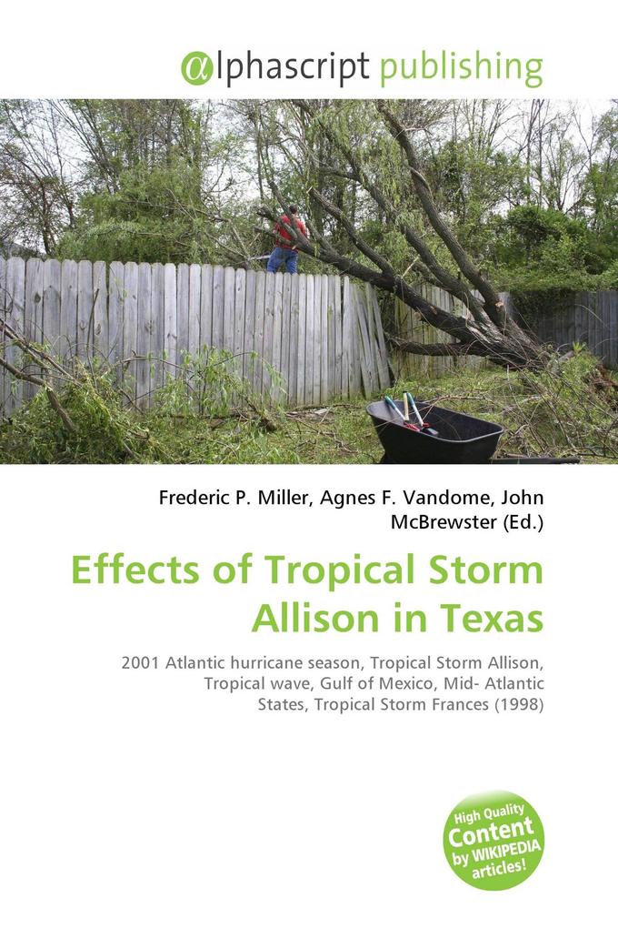 Effects of Tropical Storm Allison in Texas