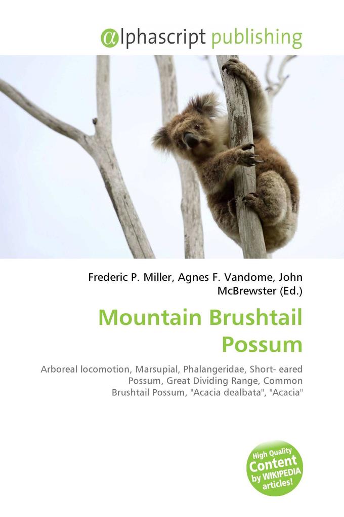 Mountain Brushtail Possum