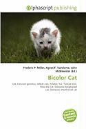 Bicolor Cat