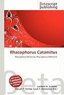 Rhacophorus Catamitus