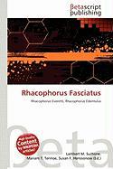 Rhacophorus Fasciatus