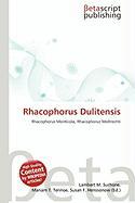Rhacophorus Dulitensis