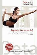 Agonist (Anatomie)
