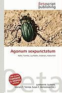 Agonum sexpunctatum