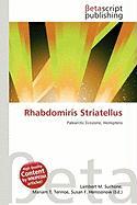 Rhabdomiris Striatellus