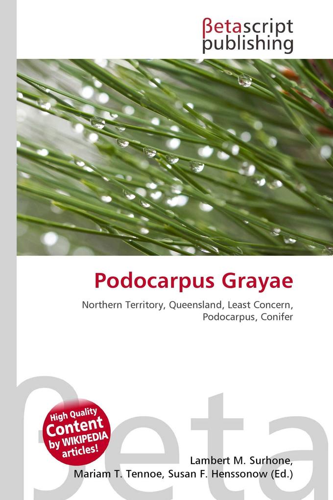 Podocarpus Grayae