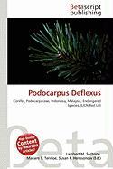 Podocarpus Deflexus