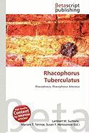 Rhacophorus Tuberculatus