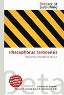 Rhacophorus Taronensis
