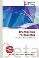 Rhacophorus Poecilonotus