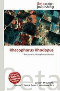 Rhacophorus Rhodopus